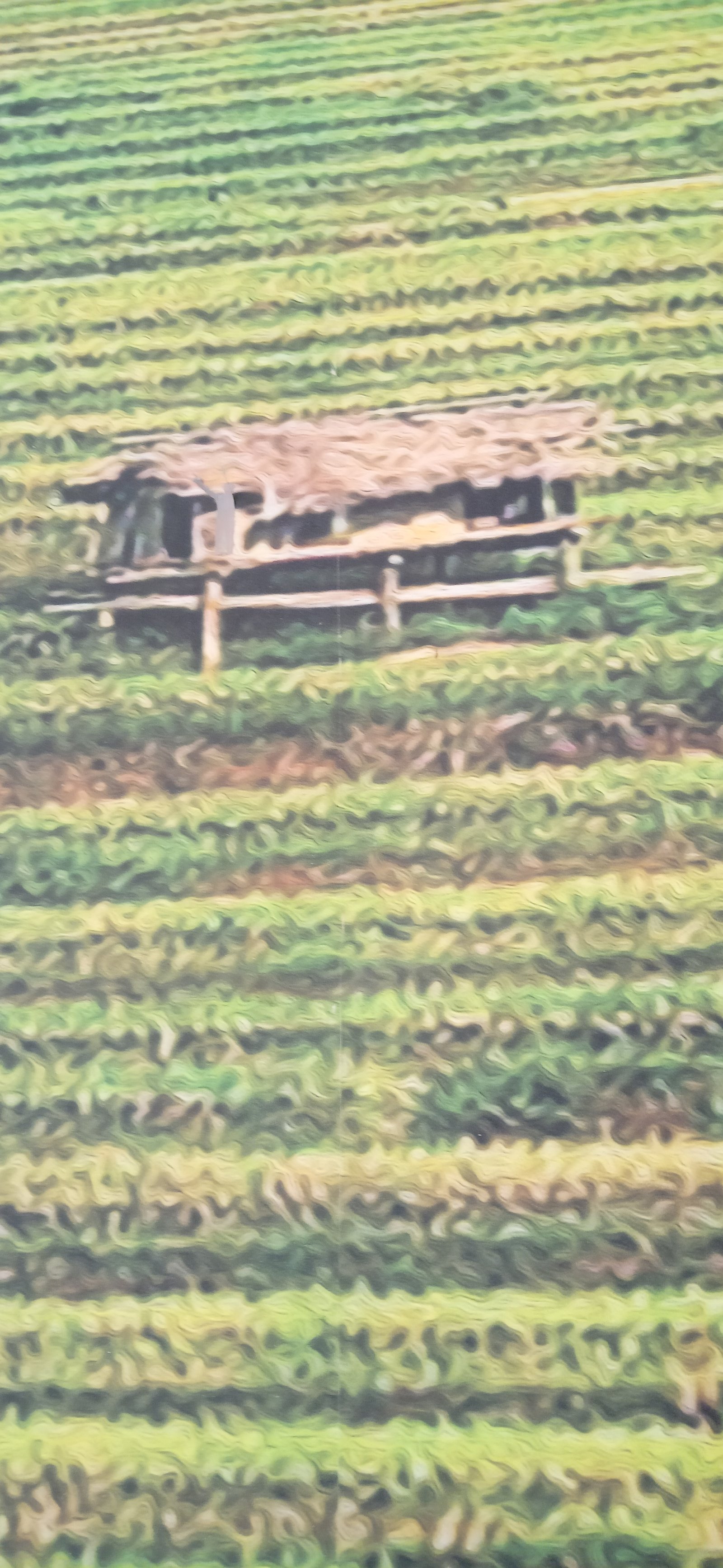 Indonesia kita