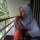 Siti Suharni