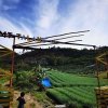 Awas Tersesat! Catatan dari Jalur Seroja Gunung Talang