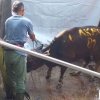Sekali BerQurban Tetap BerQurban