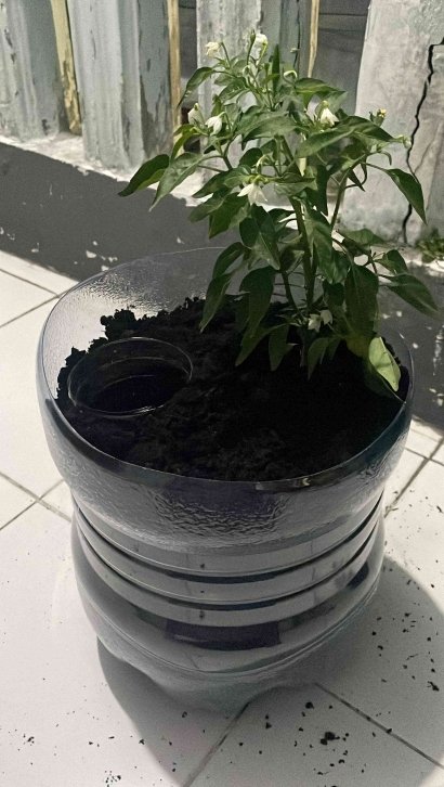 Program Kerja Daur Ulang Kreatif 