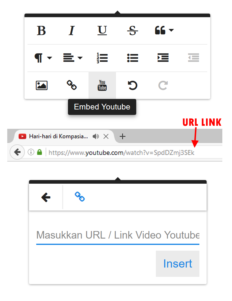Embed Youtube