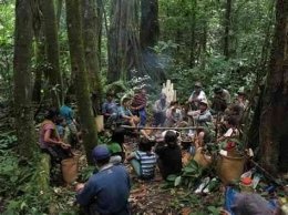 Gambar Hutan Suku Dayak 