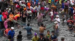 Gambar Sasi di Maluku 