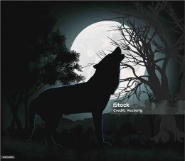 Ilustrasi Gambar  https://pixabay.com/id/vectors/serigala-bulan-waktu-malam-bintang-4561204/
