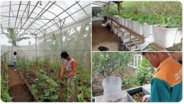 Kebun Hidroponik Bumiaji Batu (dok. bukanbocahbiasa.com)